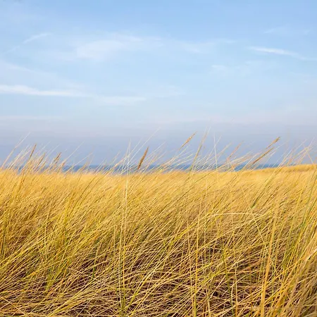 Σπίτι διακοπών Ostseeschnaepel